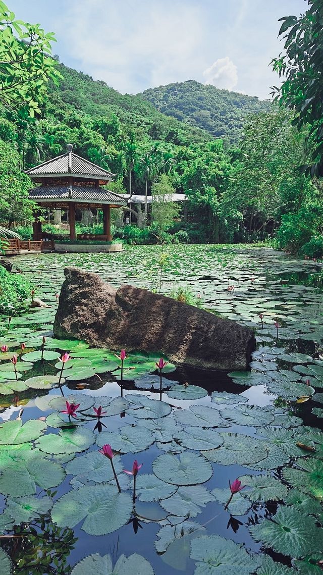 亞龍灣熱帶森林公園攻略