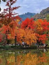 還去什麼京都都來蘇州天平山吧