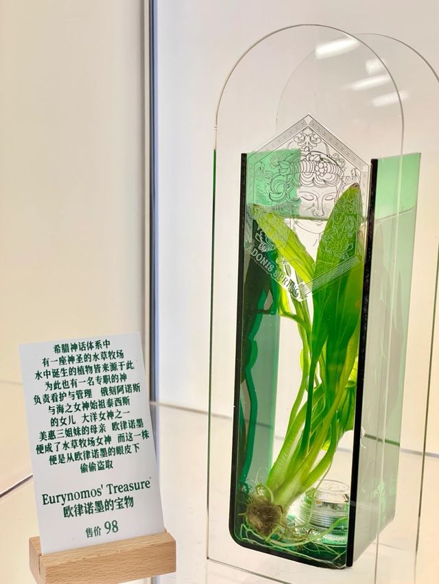 公主們快去打卡！青島有個小"盧浮宮"