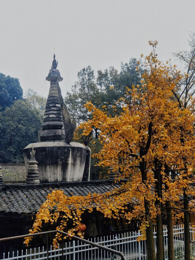 大邑白岩寺