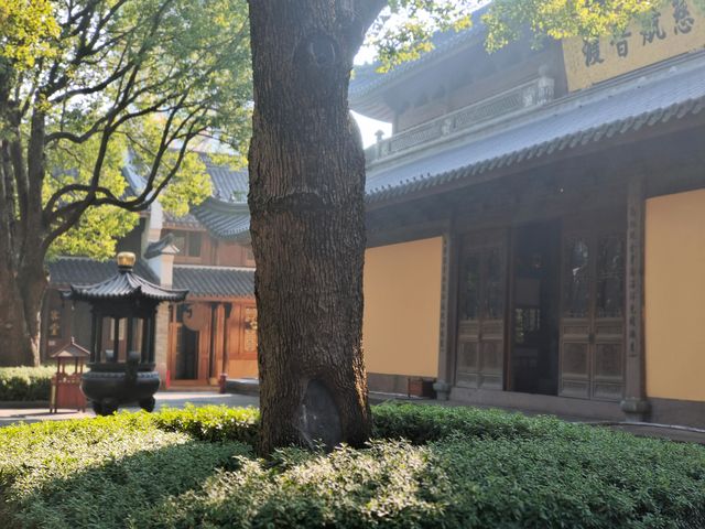 市區裡的寺廟-七塔禪寺