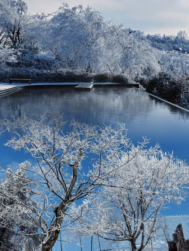 在冰雪中聽風呼嘯而過，來一場雪上的速度與激情……