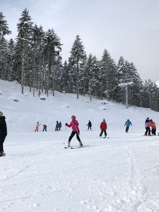 二世谷滑雪推薦——比羅夫滑雪場