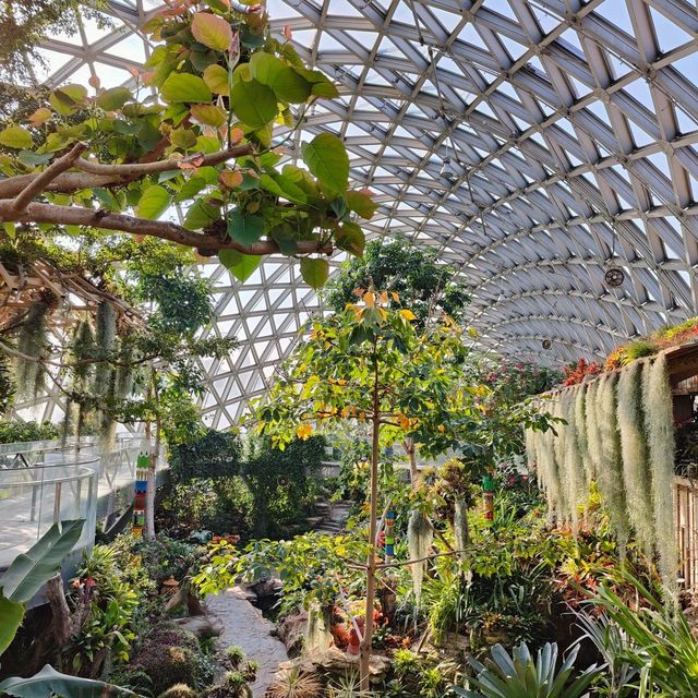 Wonderful Botanical Gardens 🌺 Day Trip