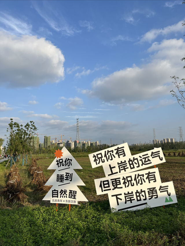 城市“野”有趣 | 打卡合肥青年創意田園啦