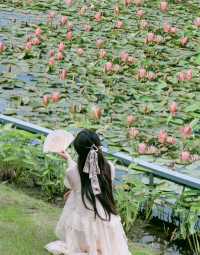 上海之魚花海