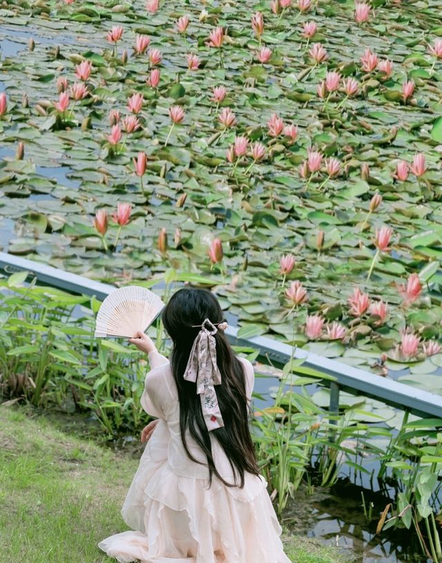 上海之魚花海