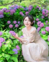 上海之魚花海
