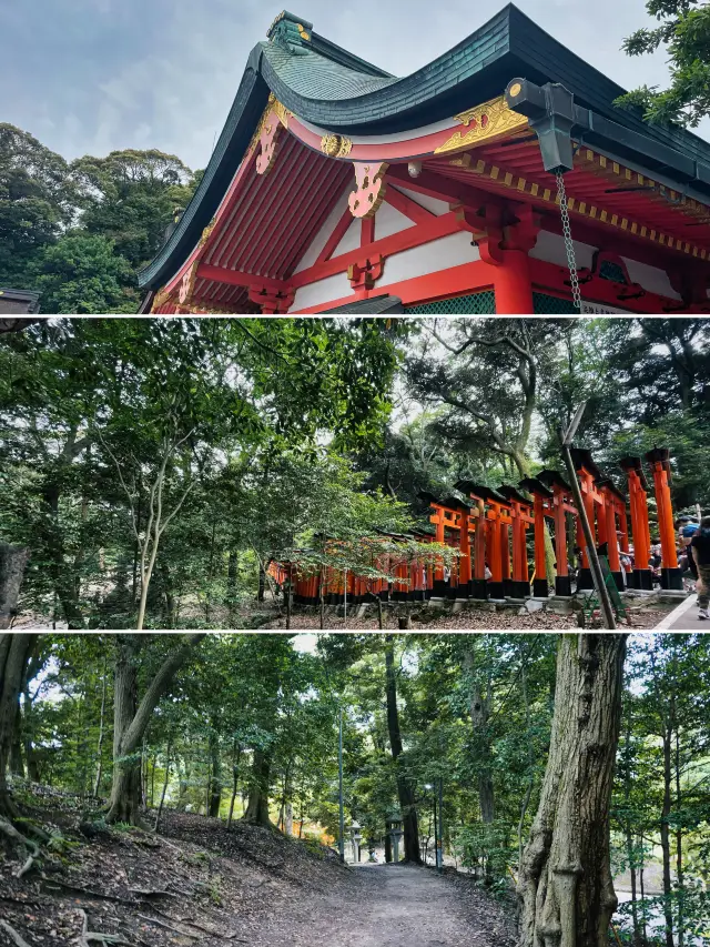 京都｜伏見稻荷大社は鳥居だけではありません