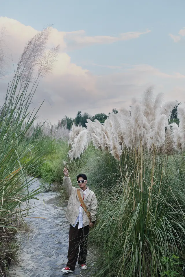 In Chengdu! Why doesn't anyone come to shoot this free reed?