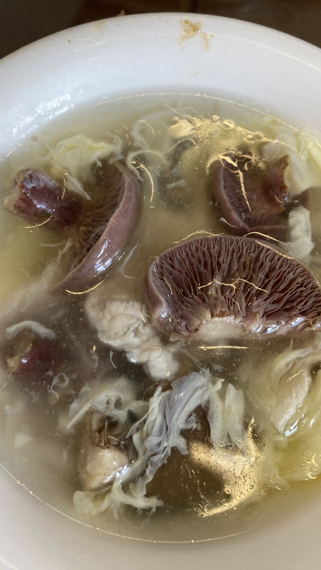漫遊威海，在威海撿蘑菇是什麼體驗