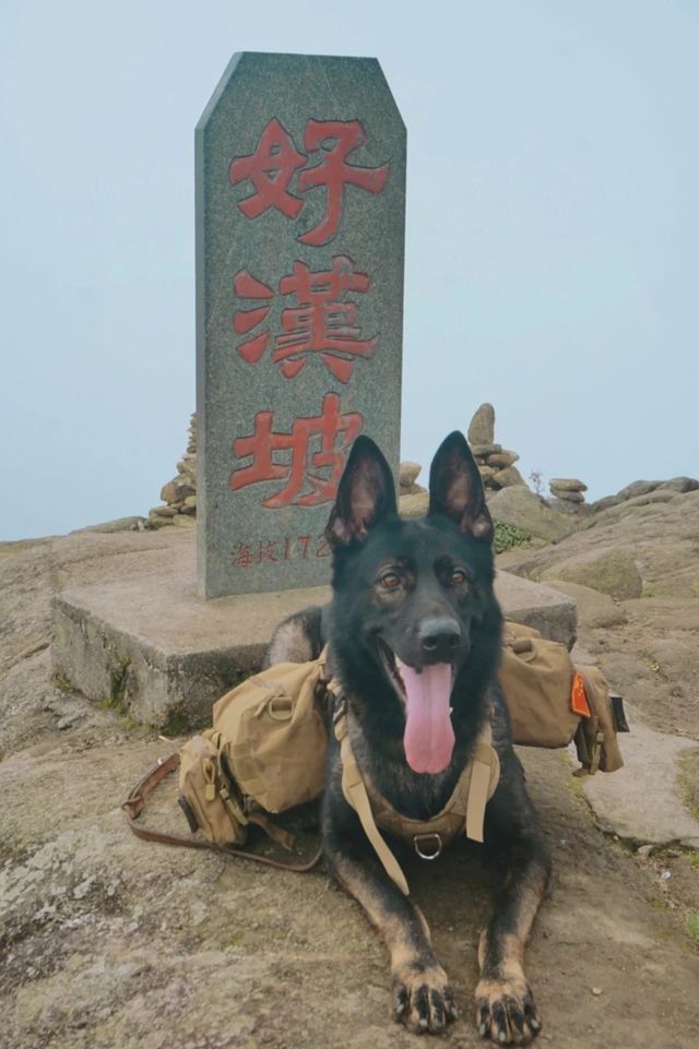 和朋友出來撒歡，就沒有精神狀態正常的