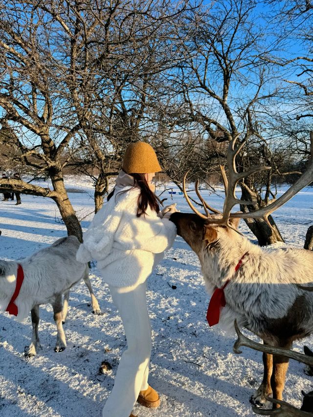 千萬別來雪嶺了｜來了就不想走了！