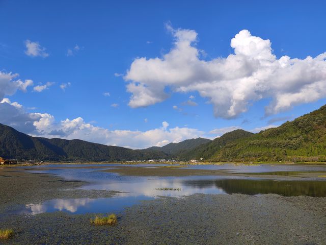 女朋友帶我去的，我還想再帶爸媽去的濕地