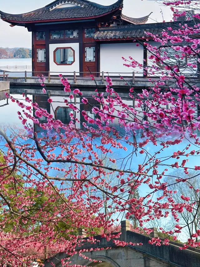 Come to Huzhou, Zhejiang, just for the thousand-year-old temples and the hundred-year-old plum blossoms
