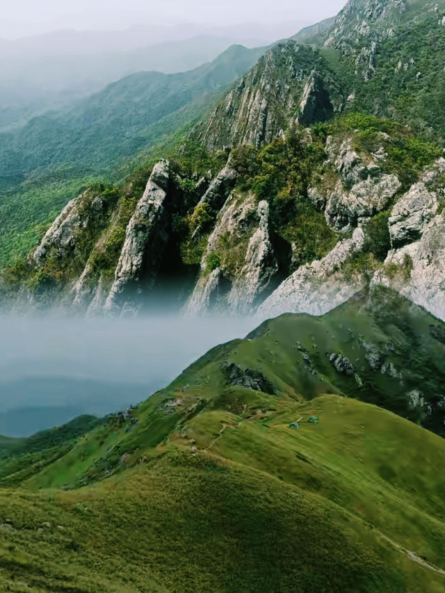 徒步九連山｜探索高山裡的秘密風景