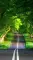 LuminousNovaPulse