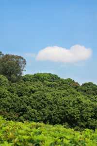 來看廣州版「芳草鮮美 落英繽紛」