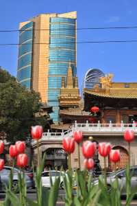 探路者第38集:闹市中的奢華靜安寺