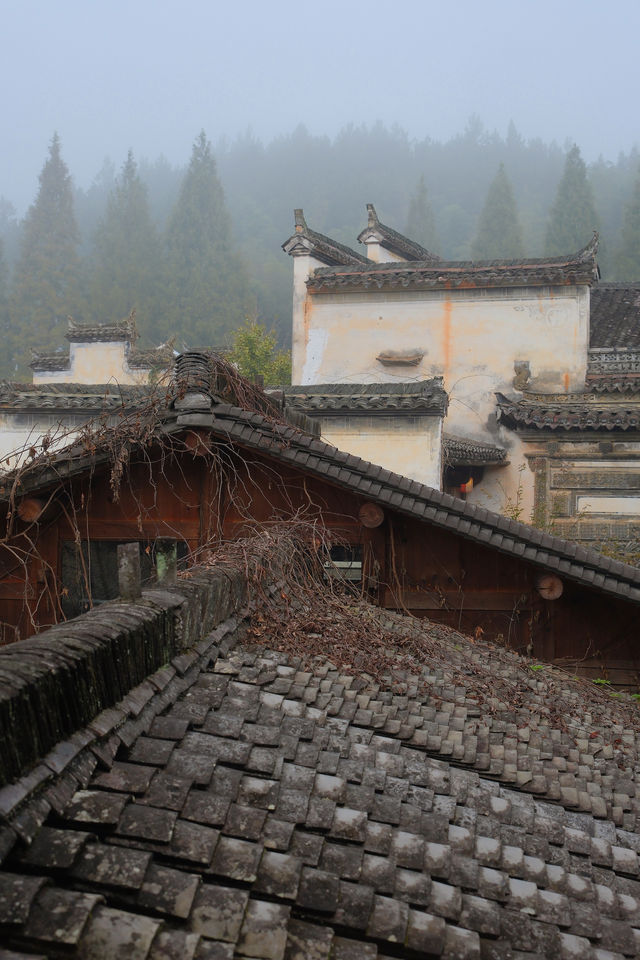 「北有喬家大院，南有思溪延村」