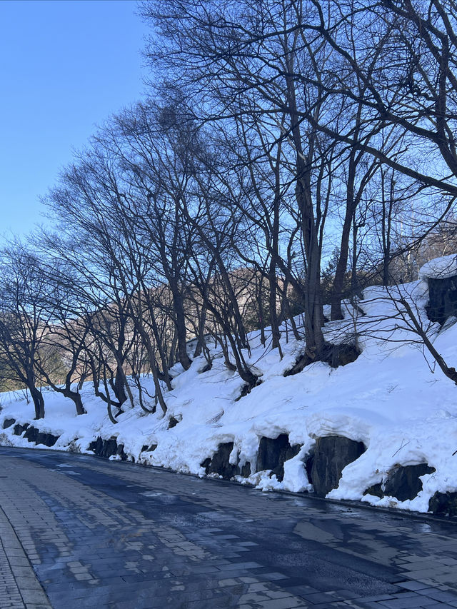 北海道8日自駕路線推薦