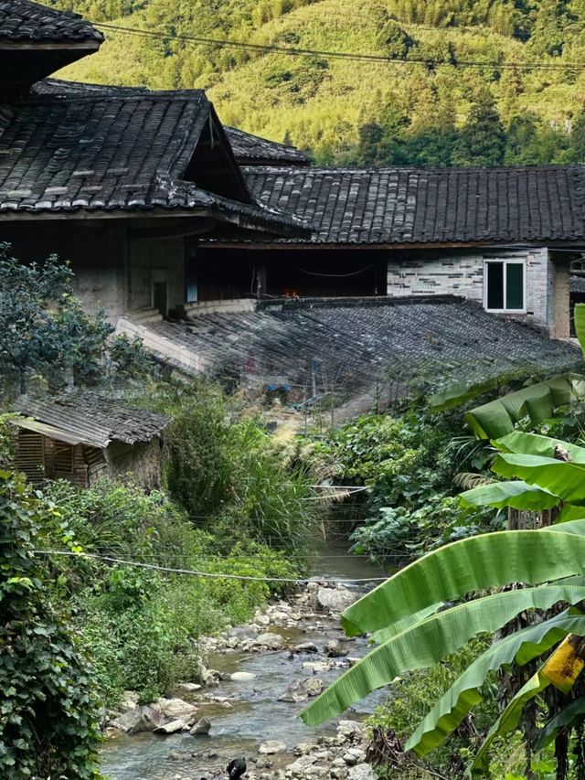 福建！你不宣傳這個地方你糊塗啊！溜娃好去處！