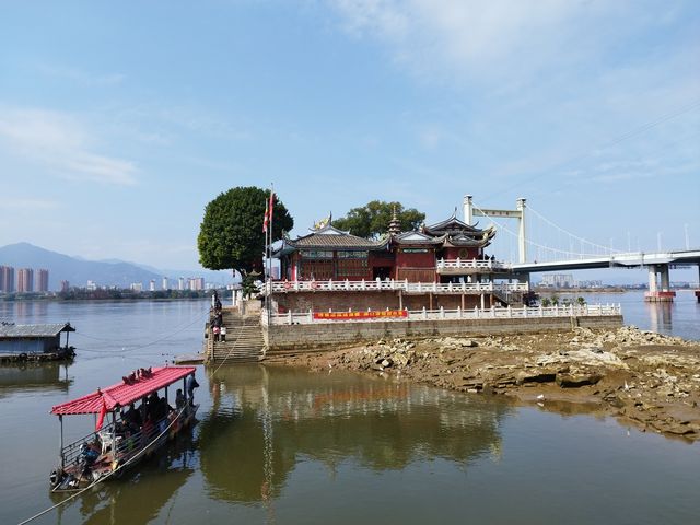 福州沙灘公園賞花行