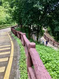 銀湖山郊野公園