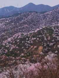 門頭溝醜兒嶺生態觀光園，去了才知道什麼叫美！