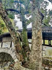 寧波棲霞坑村長安橋，散落鄉野的廊橋遺夢