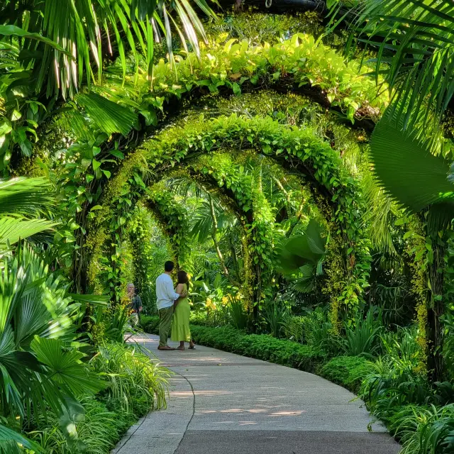 Impressions of the Singapore Botanic Gardens