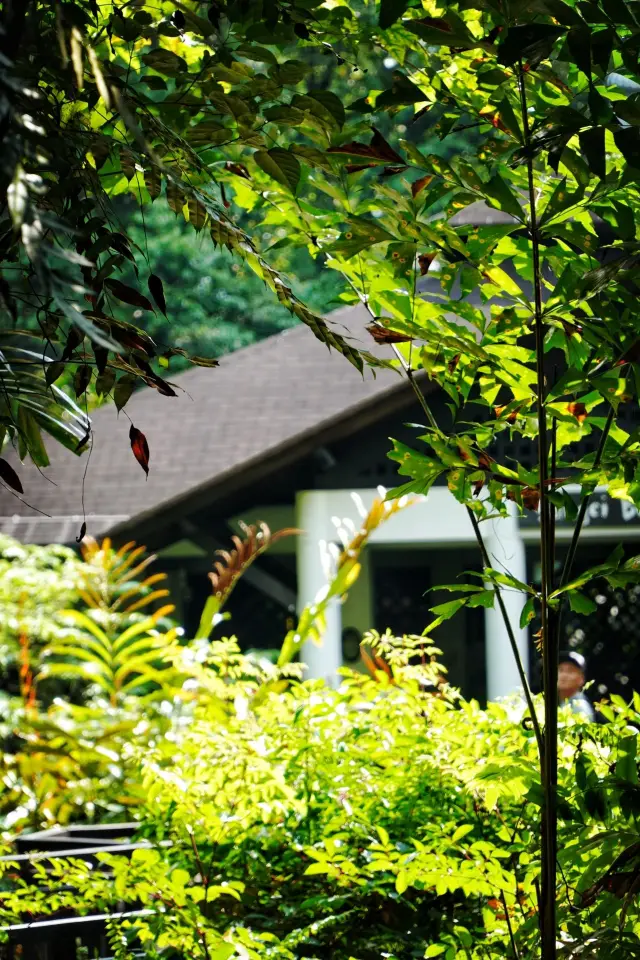 雙溪布洛濕地生態保護區