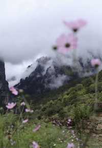 香格里拉｜曾經消失的秘境巴拉格宗