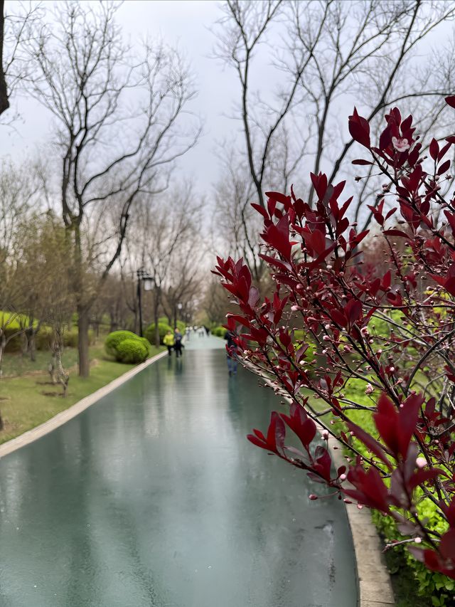 春雨後的迎澤公園