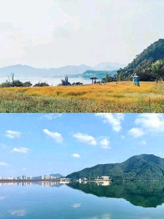 Qingshan Lake is perfect for Driving! 🇨🇳❤️