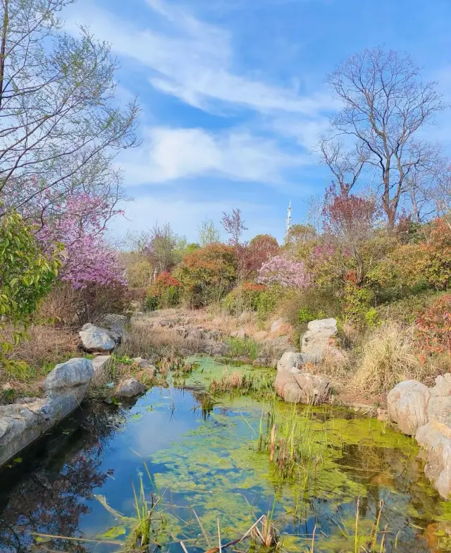 The Fenghuang Mountain Eco-Cultural Scenic Area is in Xuzhou!! A less-traveled route offers a different view