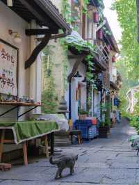 In addition to West Lake, this old street in Hangzhou is even more worthy of a visit‼️