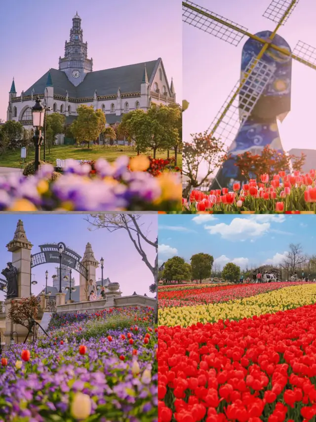 オランダの花畑でカメラのバッテリーを2つ使い切ってしまったんだけど、その景色がどんなものか知りたい？