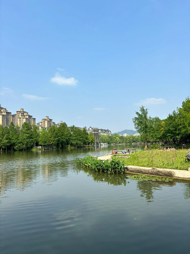 璧山秀湖公園｜常來常新的一個自然系公園