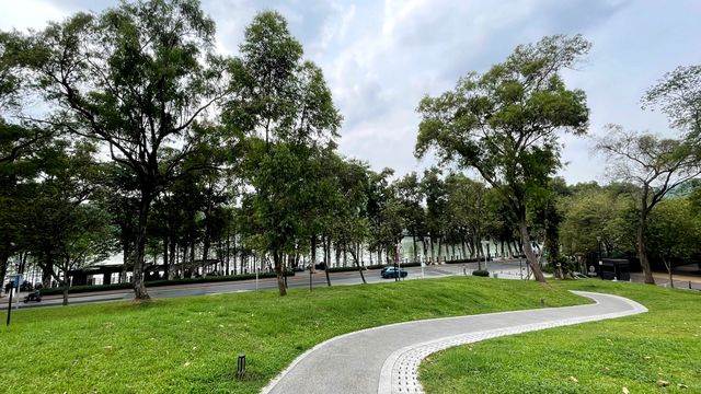 好想在麓湖公園的綠草坪上躺平