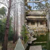 同里濕地公園：暑期小眾綠野仙蹤免費好去處