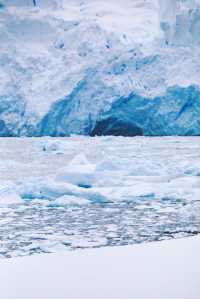 花40萬踩過的坑｜南極究竟怎麼選船才不冤（2）