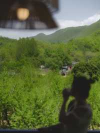 杏林山居｜秦嶺新開的避世民宿，有被驚喜到