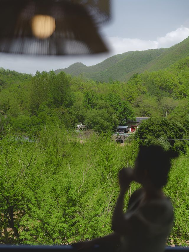 杏林山居｜秦嶺新開的避世民宿，有被驚喜到