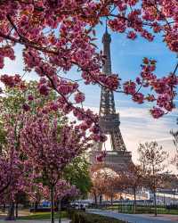 春天的巴黎！