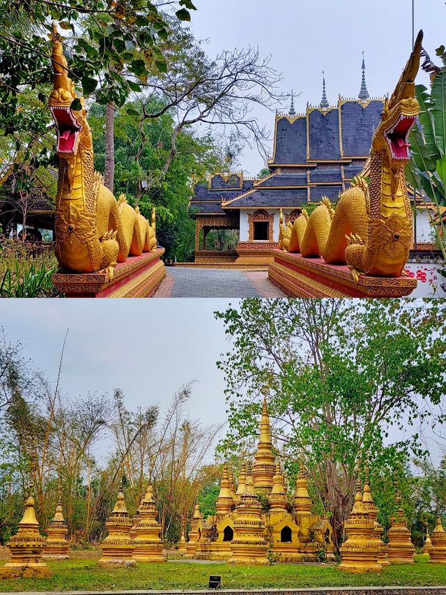 中緬第一寨丨西雙版納勐景來