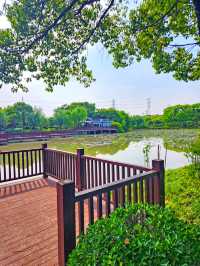 小眾偏僻的華夏公園也有優勢，人少景靚，還有座“浦東獐園”