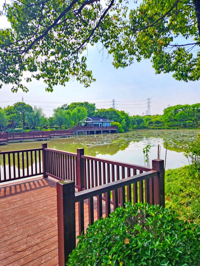 小眾偏僻的華夏公園也有優勢，人少景靚，還有座“浦東獐園”