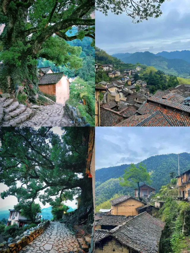 Songyang, rated by 'National Geographic' as the last secret land of Jiangnan, is absolutely amazing