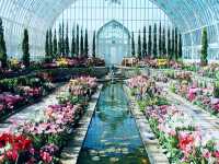 London Garden Great Obsession